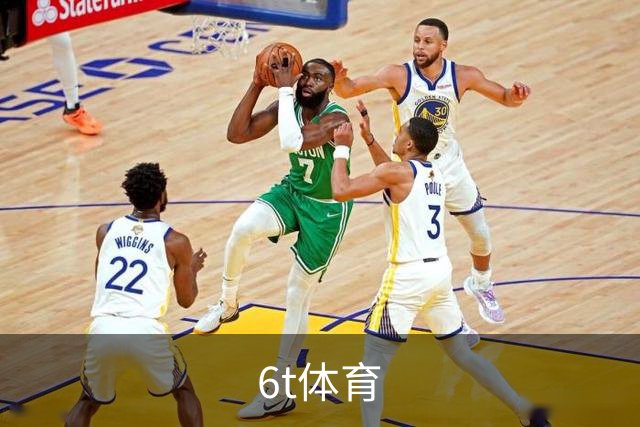 6t体育 公司简介